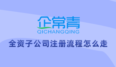全资子公司注册流程怎么走